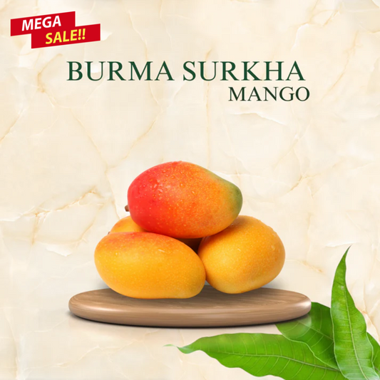 Burma Surkha Mango