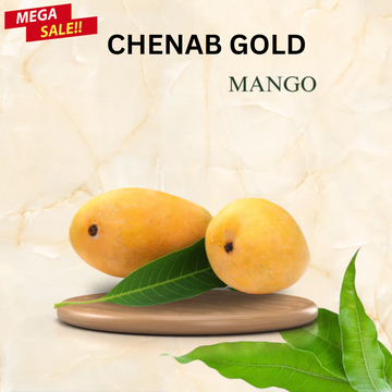 Chenab Gold Mango